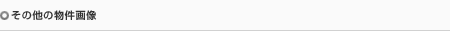 その他の画像